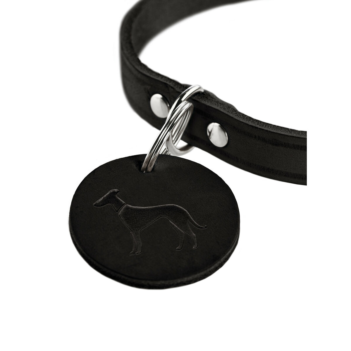 Zgardă pentru câini Hunter Aalborg Negru S 32-38 cm
